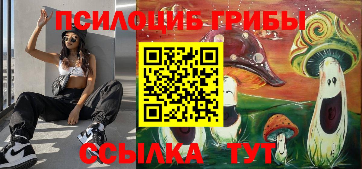 Шарыпово  Галлюциногенные грибы Psilocybine cubensis  Вход с VPN 